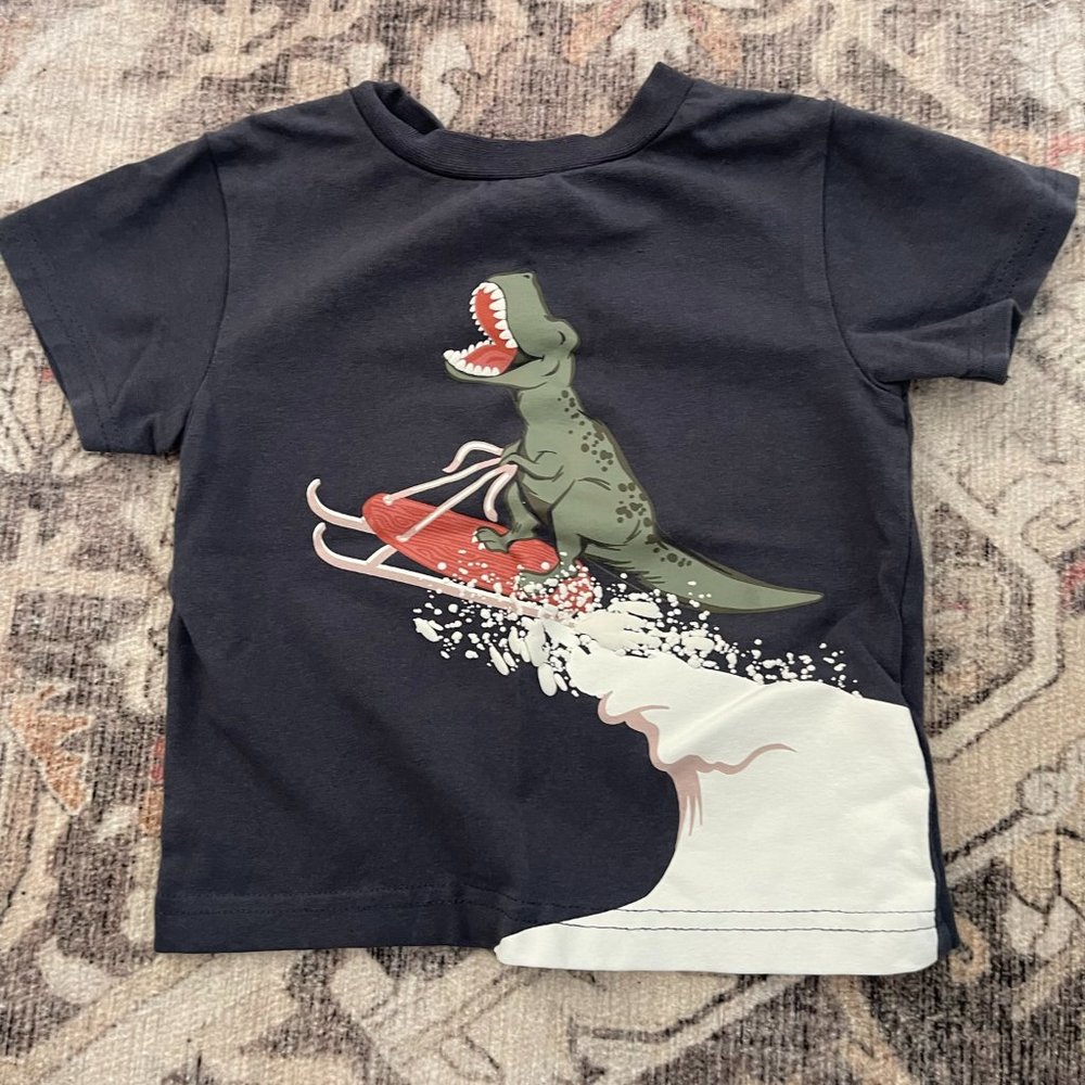 Tobogganing Dinosaur Short-Sleeve Tee